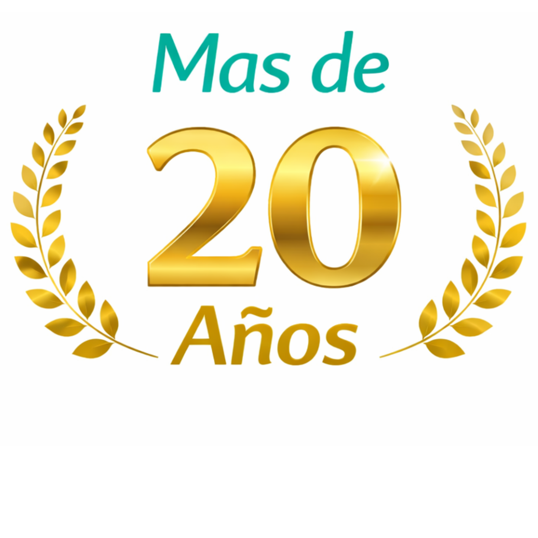Equipo de trabajo en el depósito de una distribuidora